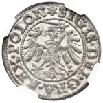 Zikmund I. Starý, Szeląg Danzig 1546 - NGC MS64