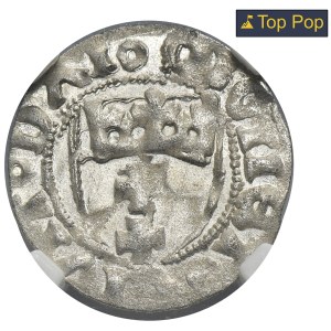 Kazimír IV Jagelonský, Szeląg Danzig bez dátumu - NGC MS63