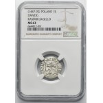 Kazimír IV Jagelonský, Szeląg Danzig bez dátumu - NGC MS63