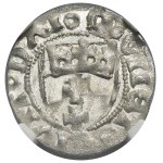 Kazimír IV Jagelonský, Szeląg Danzig bez dátumu - NGC MS63