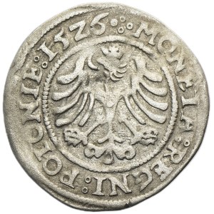 Sigismund I the Old, Groschen Krakau 1526