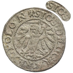 Sigismund I the Old, Schilling Danzig 1538 - SIGS