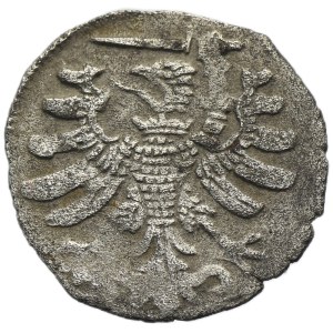 Sigismund I the Old, Prussia denarius no date Thorn