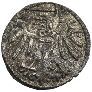 Sigismund I the Old, Denarius Danzig undated MS