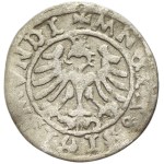 Sigismund I the Old, Half groschen Krakau undated - MNETA
