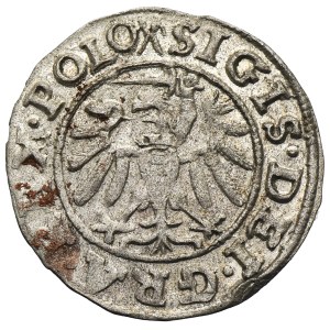 Sigismund I the Old, Schilling Danzig 1539