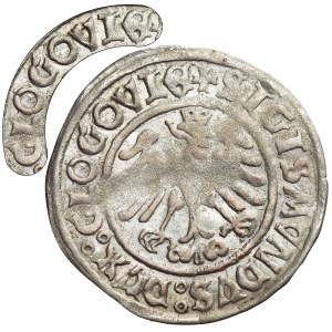 Sigismund I the Old, Groschen Glogau 1506