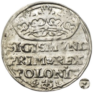 Sigismund I the Old, Groschen Krakau 1529
