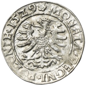 Sigismund I the Old, Groschen Krakau 1529