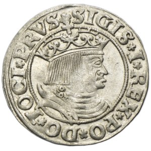 Sigismund I the Old, Groschen Thorn 1531 - PRVS/PRVS