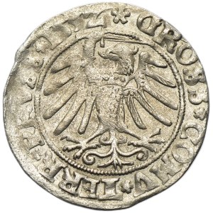 Sigismund I the Old, Groschen Thorn 1532 - PRVS/PRVSS