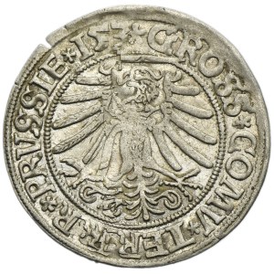 DESTRUKT, Sigismund I. der Alte, Grosz Toruń 1534?