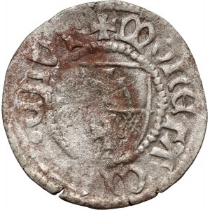 Kazimierz IV Jagiellończyk 1447-1492, szeląg, Elbląg