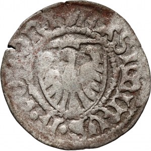 Kazimierz IV Jagiellończyk 1447-1492, szeląg, Elbląg