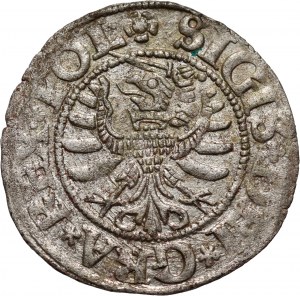 Zygmunt I the Old, 1531 shekel, Gdansk, Poland