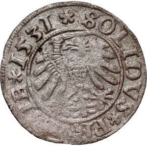 Zygmunt I Stary, szeląg 1531, Toruń
