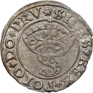 Zygmunt I Stary, szeląg 1530, Toruń