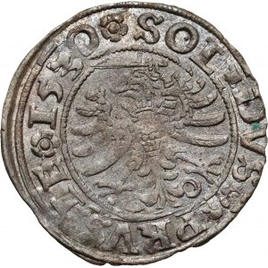 Zygmunt I Stary, szeląg 1530, Toruń