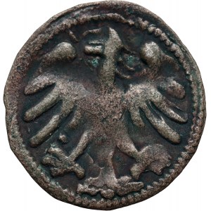 Aleksander Jagiellończyk 1501-1506, denar litewski, Wilno, gotyckie A