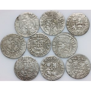 Occupation suédoise, Gustav II Adolphus, 17e siècle Ensemble de demi-pistes, (9 pièces)