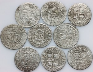 Swedish occupation, Gustav II Adolphus, set of 17th century half-tracks, (9 pieces)