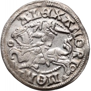 Aleksander Jagiellończyk 1501-1506, półgrosz bez daty, Wilno