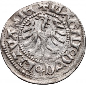 Aleksander Jagiellończyk 1501-1506, półgrosz bez daty, Wilno