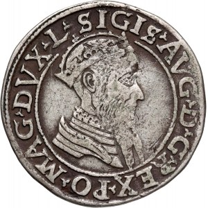 Zygmunt II August, czworak 1567, Wilno