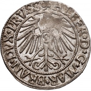 Ducal Prussia, Albrecht Hohenzollern, penny 1545, Königsberg