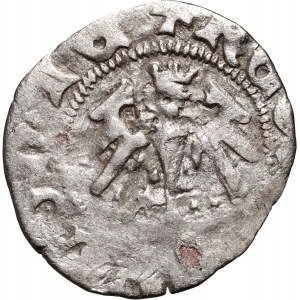 Władysław Jagiełło 1386-1434, półgrosz, Kraków, sygnatura W‡