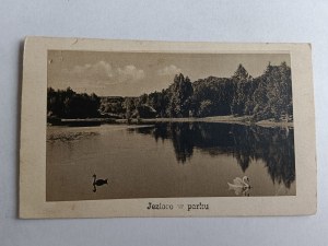 POSTCARD POŁCZYN ZDRÓJ LAKE IN THE PARK, SWANS