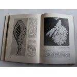 Jan Zabinski, From the Life of Animals Volume I
