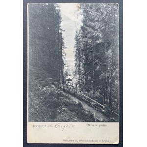 KRYNICA. Okno w Parku [1905]