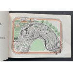 [Ha-Ga/Piotrowski/Siemaszkowa] BRZECHWA Jan- Crafts, Tadpoles, Globe. Okaes Publishing House Warsaw [1945].