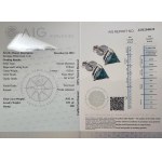 EARRINGS IN 14K WHITE GOLD 1.06 GR WITH DIAMONDS - ER31201