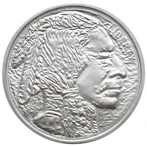 USA, buffle, 1 oz, argent fin (Dead Indian)