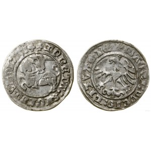 Polska, półgrosz, 1514, Wilno