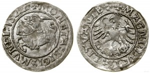 Poland, half-penny, 1522, Vilnius