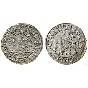 Poland, half-penny, 1556, Vilnius