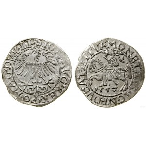Poland, half-penny, 1557, Vilnius