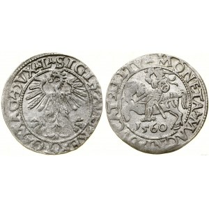 Poland, half-penny, 1560, Vilnius