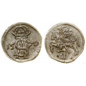 Pologne, dwudenar, 1570, Vilnius