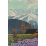 Franciszek Wójcik (1903 Wojciechowo - 1984 Zakopane), Tatra landscape with crocuses