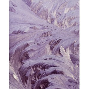 Gerhard MIKULASCHEK, Ice on the window, pre-1968
