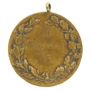 II RP, Medal Dowództwo Okręgu Korpusu Nr IV - Łódź. Walka na bagnety (728)