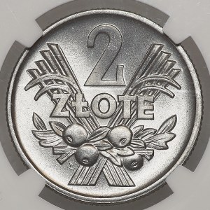 2 Gold 1960, Beere