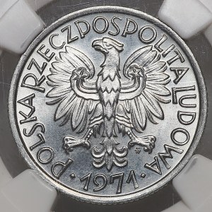 2 Gold 1971, Beere