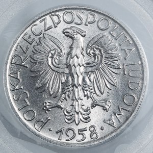 5 Gold 1958, Fischer, schmale Acht