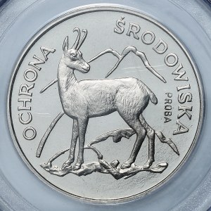 PROBEN VON NICHOLS, 100 Gold 1979, Kozica