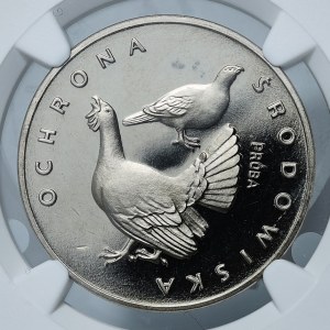 SAMPLE NIKIEL, 100 gold 1980, Grouse